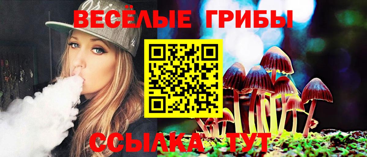 Галлюциногенные грибы мухоморы  Псилоцибиновые грибы Psilocybine cubensis  Керчь  Вход с VPN 